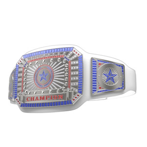 Championship Belt 5