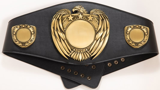 Championship Belt 7