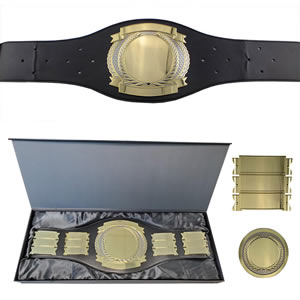 Championship Belt 9